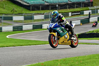 cadwell-no-limits-trackday;cadwell-park;cadwell-park-photographs;cadwell-trackday-photographs;enduro-digital-images;event-digital-images;eventdigitalimages;no-limits-trackdays;peter-wileman-photography;racing-digital-images;trackday-digital-images;trackday-photos